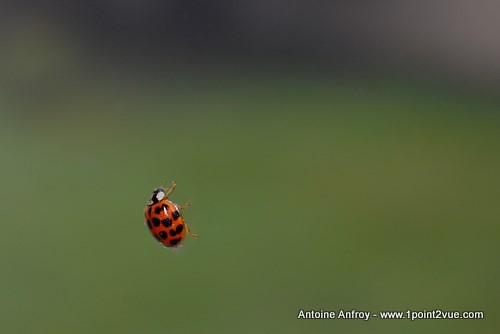 DSC_0614_2